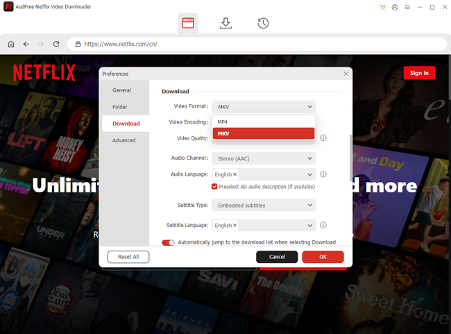 define output settings of netflix video