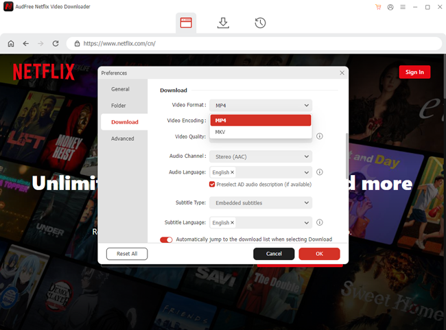 define netflix video output settings