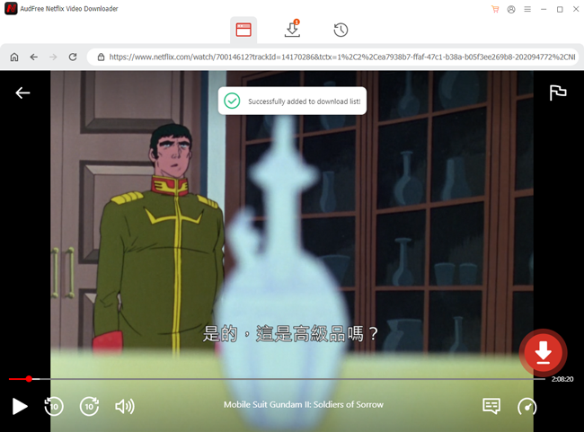 import and download netflix videos with subtitles