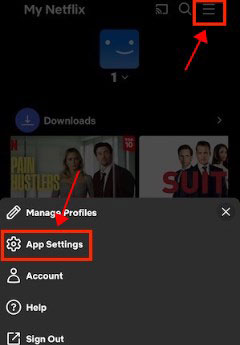 app settings in netflix android app