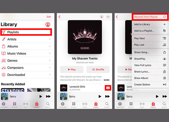 apple music remove from playlist ios