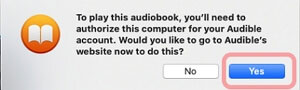 authorize this computer for audible on apple books