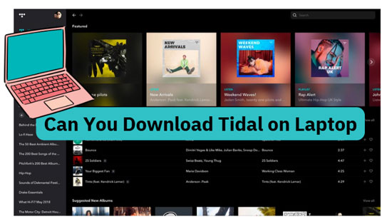 can you download tidal on laptop