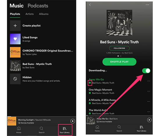 how to download music on spotify phone