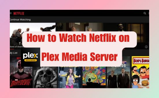 how to watch netflix on plex