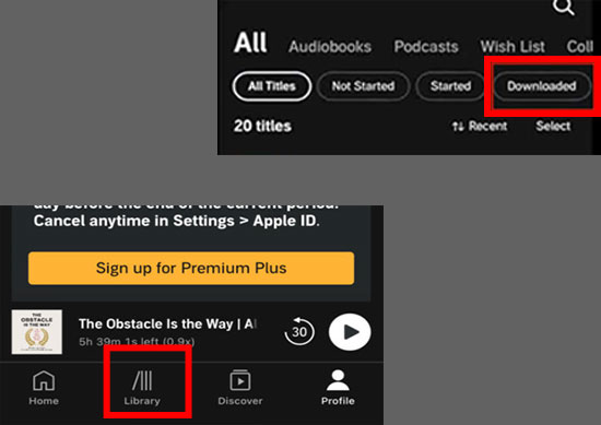 downloaded audible books on iphone