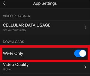 netflix wifi only download setting