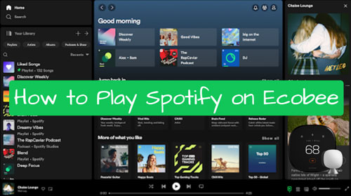 play spotify on ecobee