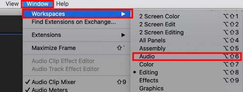 audio option in premiere pro