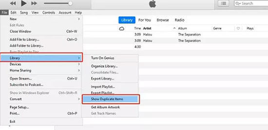 show duplicate items itunes