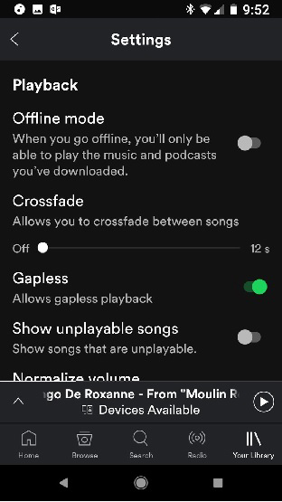how to use spotify premium offline