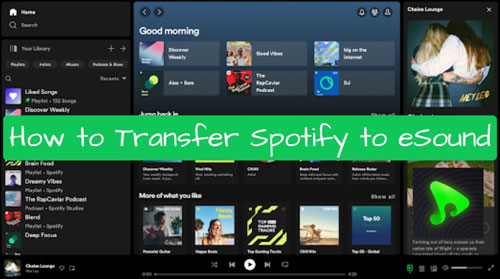 transfer spotify to esound