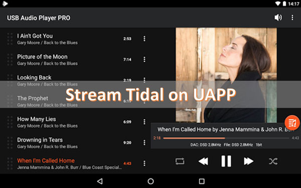 uapp tidal